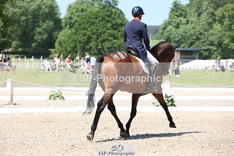 230526-121924-06203 - 160-SWHISKEY-Jeanette_Brakewell-WEDTrotUp+DR