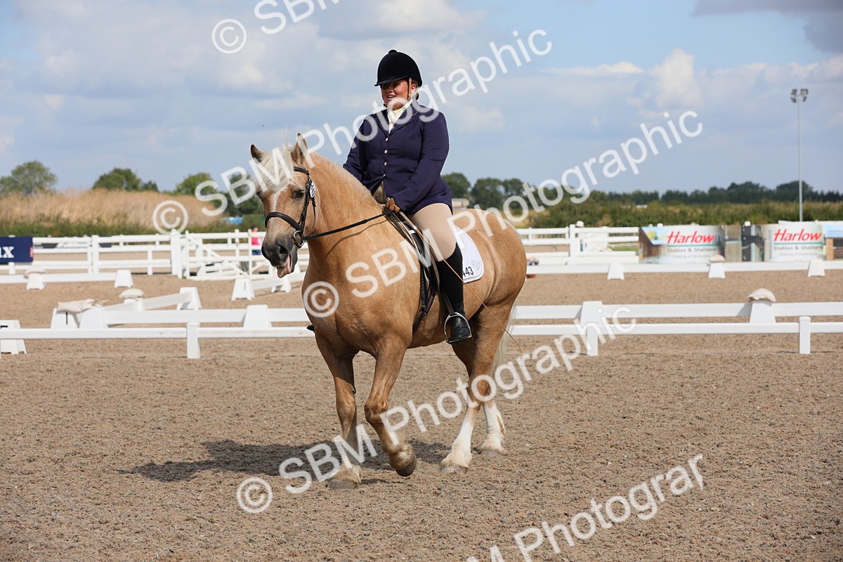 SBM_04031 - Class 31 Prelim 1