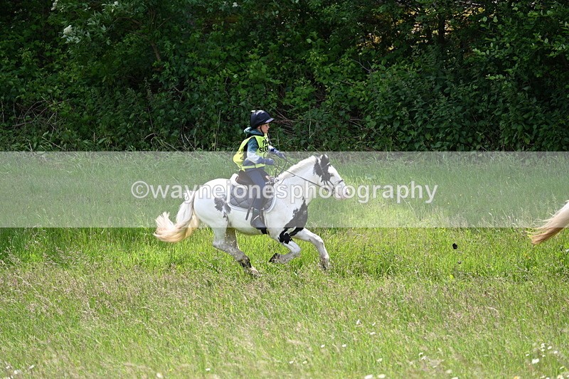 WJ7_8785 - Group 4 11am