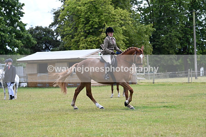 WJ7_9328 - Class 8 Ridden Veterans