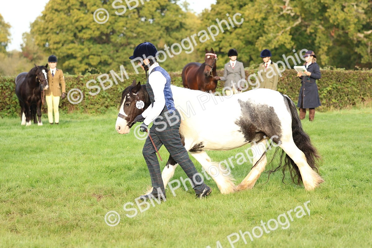 SBM_54875 - S39 - Starters In Hand Showing