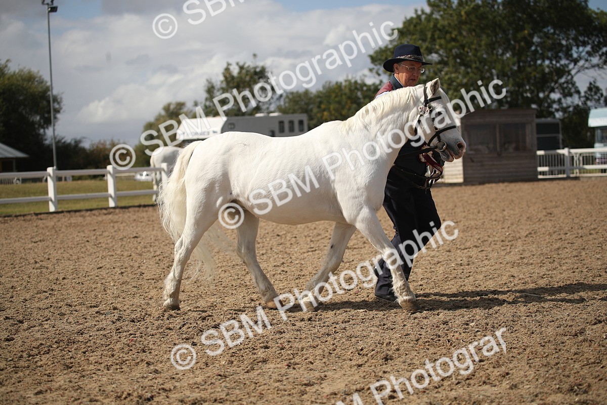 SBM_23597 - Class 605 - 2026 - Area - IH Veteran