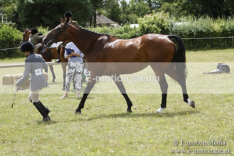 BVR160717-1858 - Ring 3 BVRC Show 16/07/17