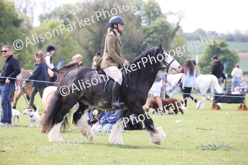 20260426-2919 - Class 33 - Best Pony 14.2hh and Under