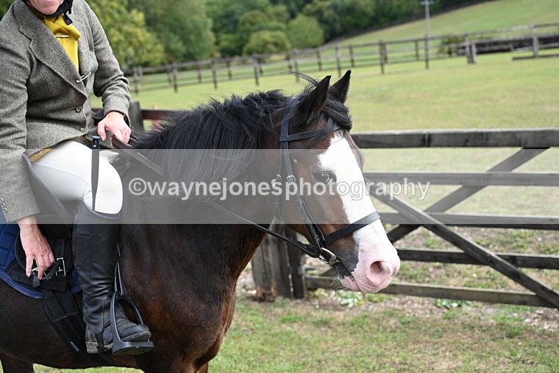 WJ7_6708 - Berks & Bucks at Blandy’s Farm 31-08-25
