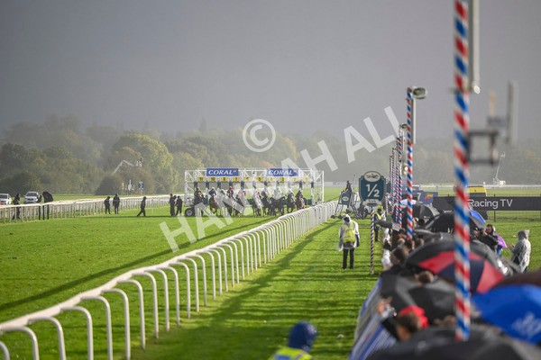121024-Race 6-Gibside-3366 - Race 6 4.30pm Coral We're Here For It Stayers Handicap