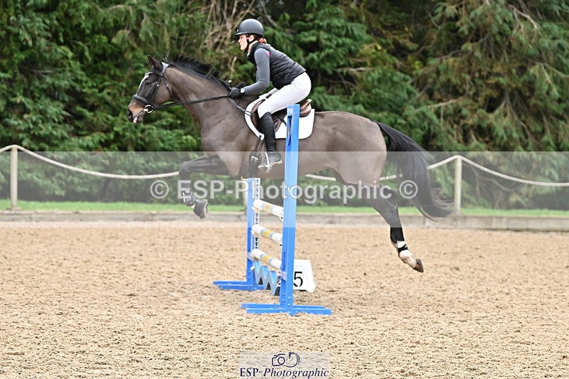 250201A-115638-00548 - Cls 02 Local Horse 100cm