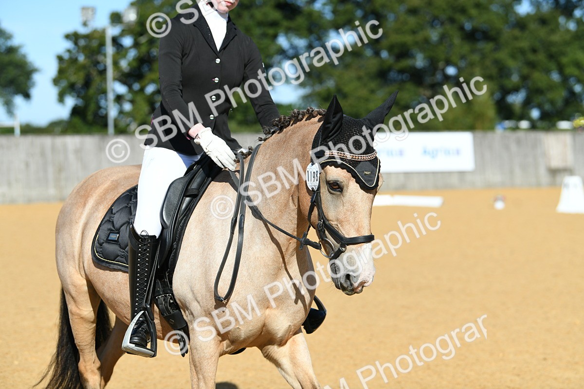 SBM_17877 - D4 - Small Tour Championship - Intro B