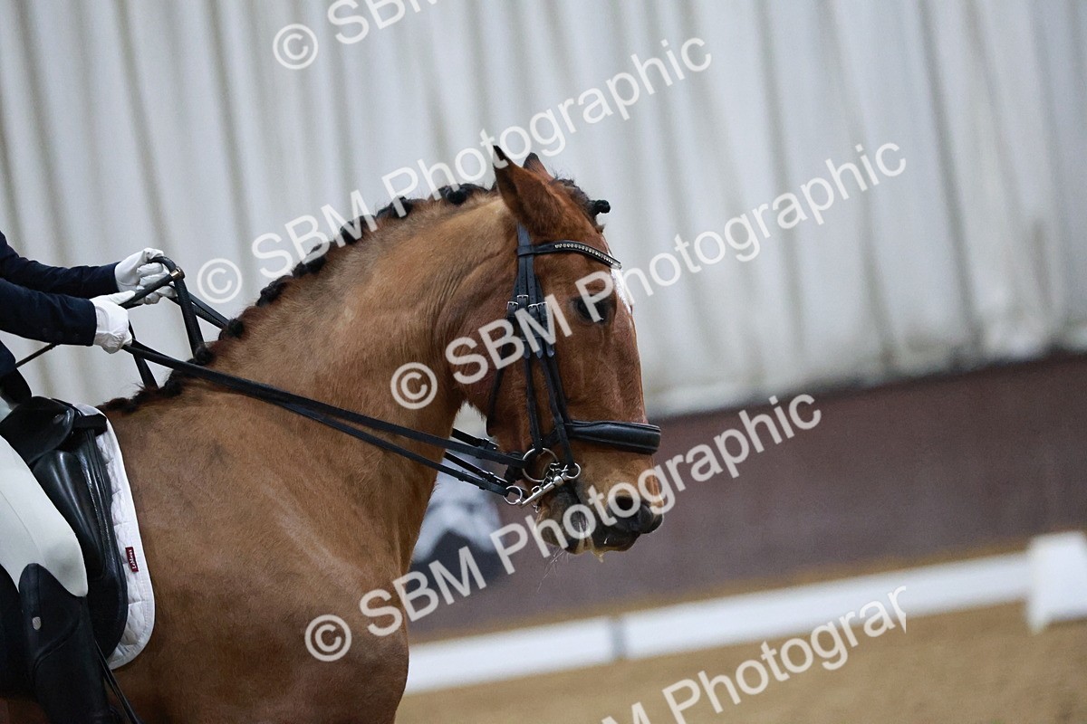 SBM_005523 - Medium Music-Medium 2-Adv Med 1