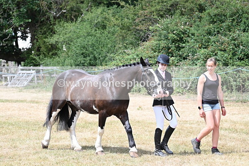 WJ7_1927 - Class 4a Prettiest Mare 14.2hh and over hand