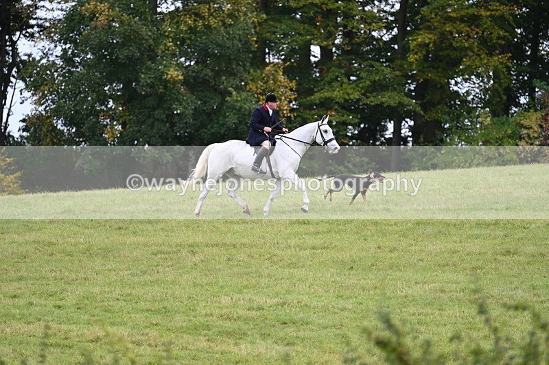 WJ7_4024 - Camera 1 Line 2