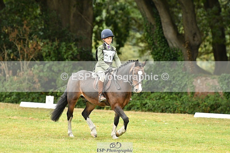 250820A-111215-04925 - 11am to 12