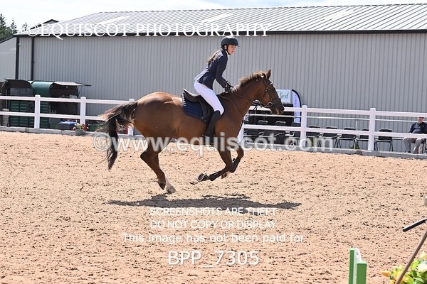 BPP_7305 - CLASS 14 FRI Nupafeeds Senior Dicovery/1m open