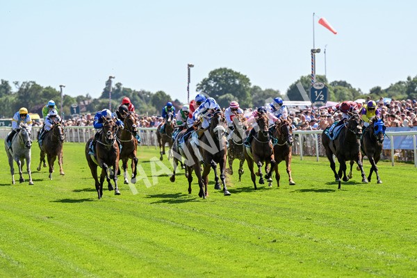 120725-Race 3-Fox Legacy-0218 - Race 3 3.10pm John Smith's Cup Handicap