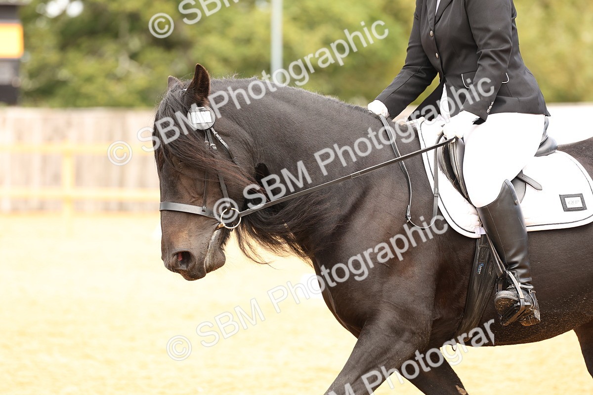 SBM_03571 - D1 - Small Tour Championship Intro 1