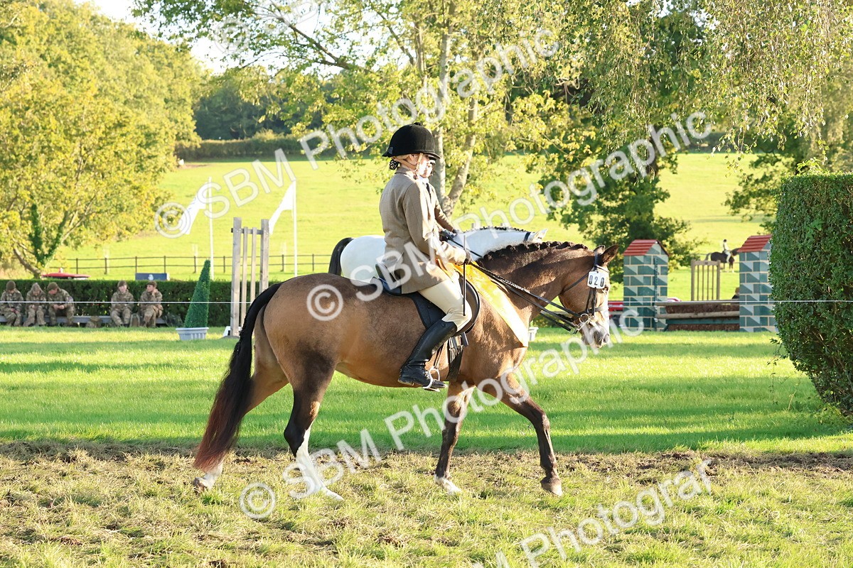 SBM_53116 - Veteran Supreme Championship