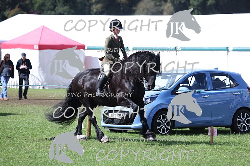 APP_3515 - Class 12 M&M ridden