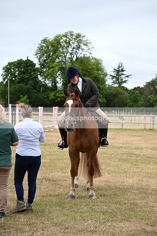 WJ6_3977 - Class 9 Tack & Turnout