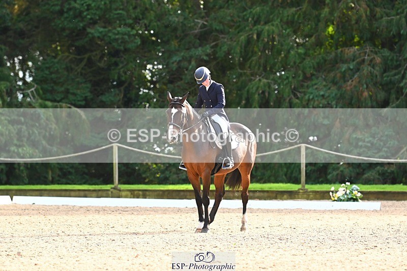 231021-141555-18672 - 251-JE.SUIS.MARVELOUS.WB-Emma.Collins-DR