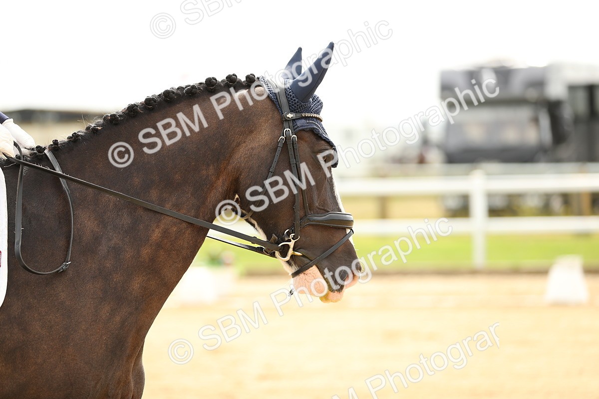 SBM_017244 - Class 13 - Novice 23 - 13.31-14.13