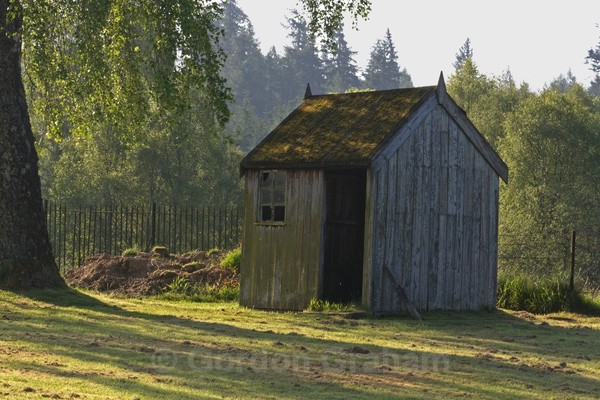 Old Shed - General