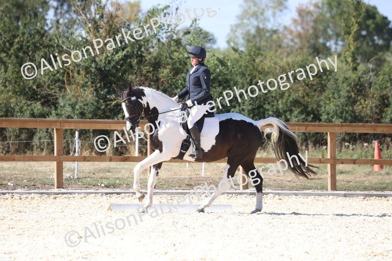 20260905-1578 - Class 5 - Novice 2