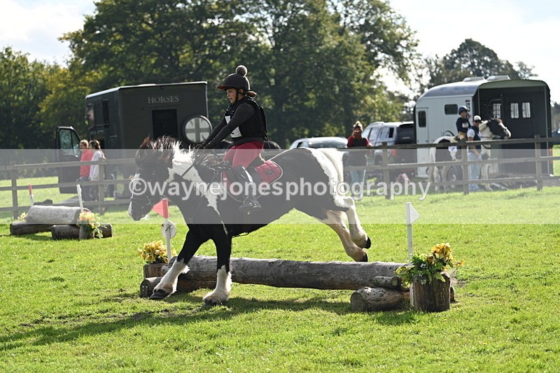 WJ7_3724 - 40cm Time 10:26 to 10:42