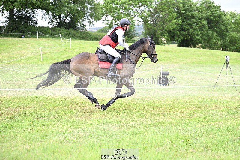 250524A-131853-10353 - B-373-Ben.Lee.Liles-FINCH.FANCY