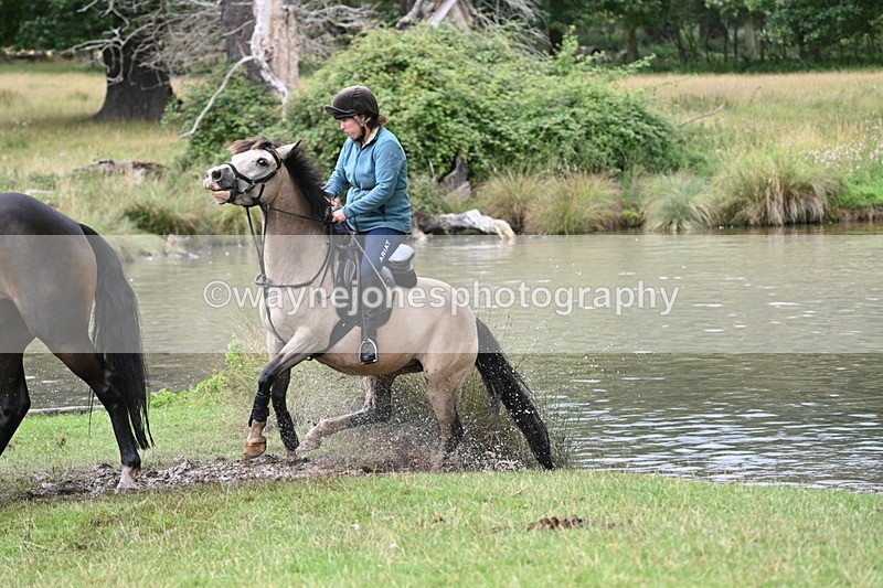 WJ7_4111 - Time at Water 12:52 to 13:22