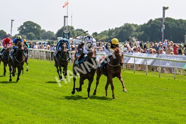 130625-Race 2-Carnation Queen-8627 - Race 2 2.25pm Coopers Marquees Rous Selling Stakes