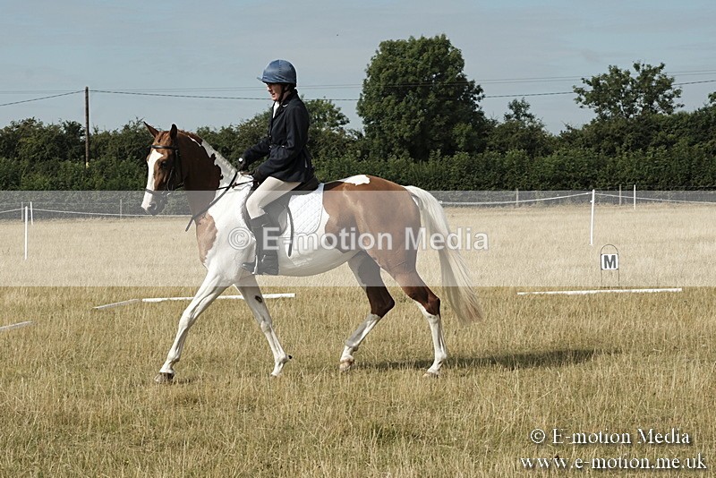 _PJP5587 - Dressage Classes BVRC Show 2018