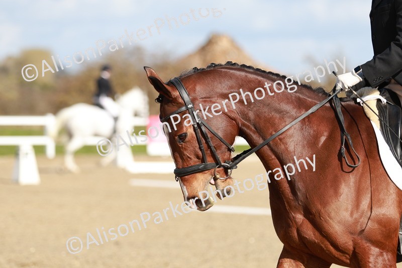 20260314-4388 - DR4 - Prelim 2