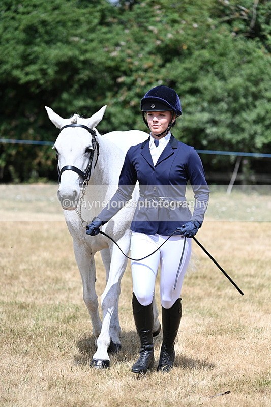 WJ7_1602 - Class 4 Prettiest Mare up to 14.2hh in hand