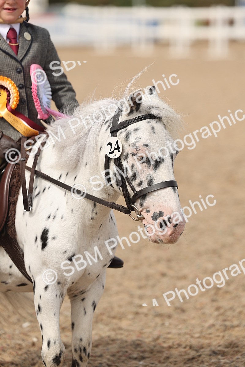 SBM_15936 - Class 310 - First Ridden Pony