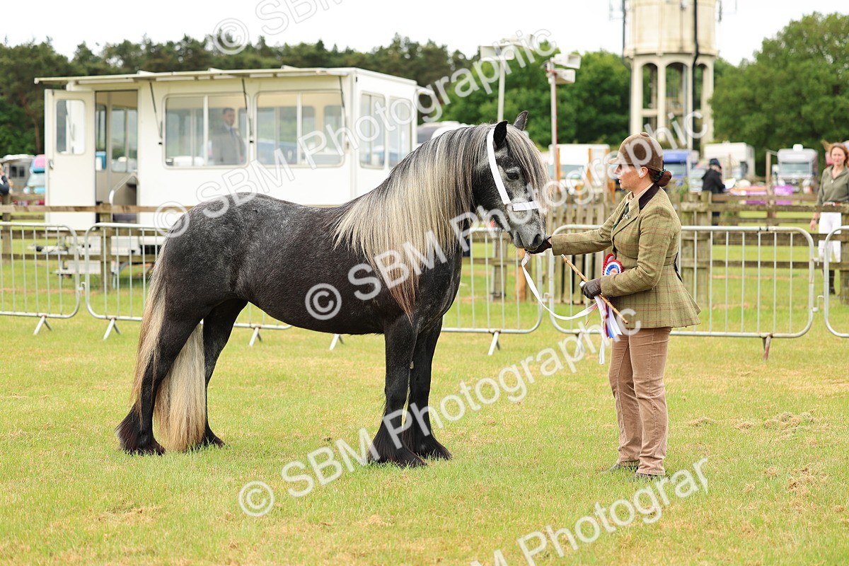 SBM_00629 - Class 58-67 - M&M Non Welsh Pony In hand