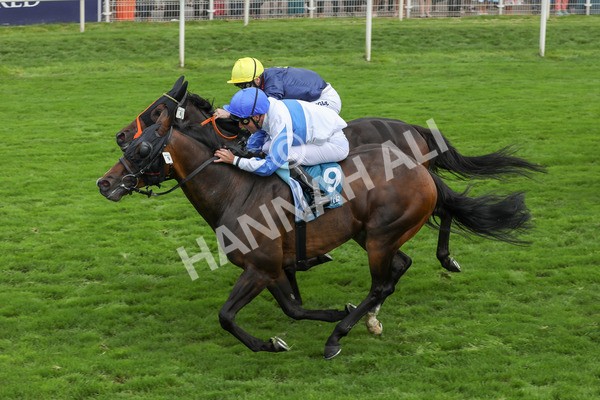 240823-Race 3-Ropey Guest-5181 - Race 3 3.00pm Clipper Handicap