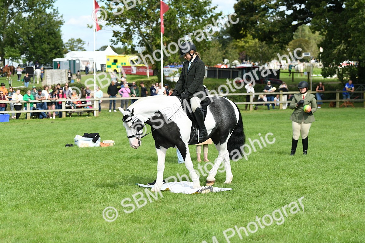 SBM_46780 - S12 - Family Horse & Pony