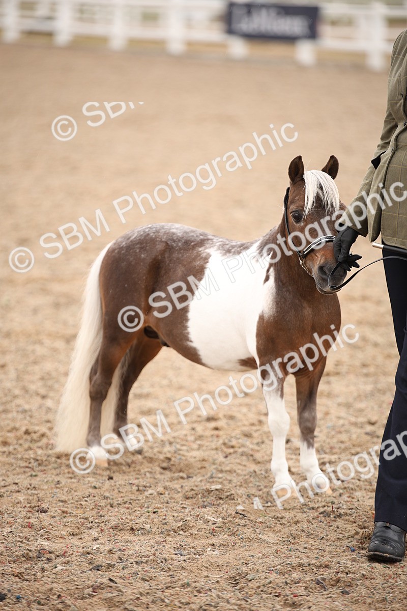 SBM_19316 - Class 701 - Best Turned Out IH & Ridden