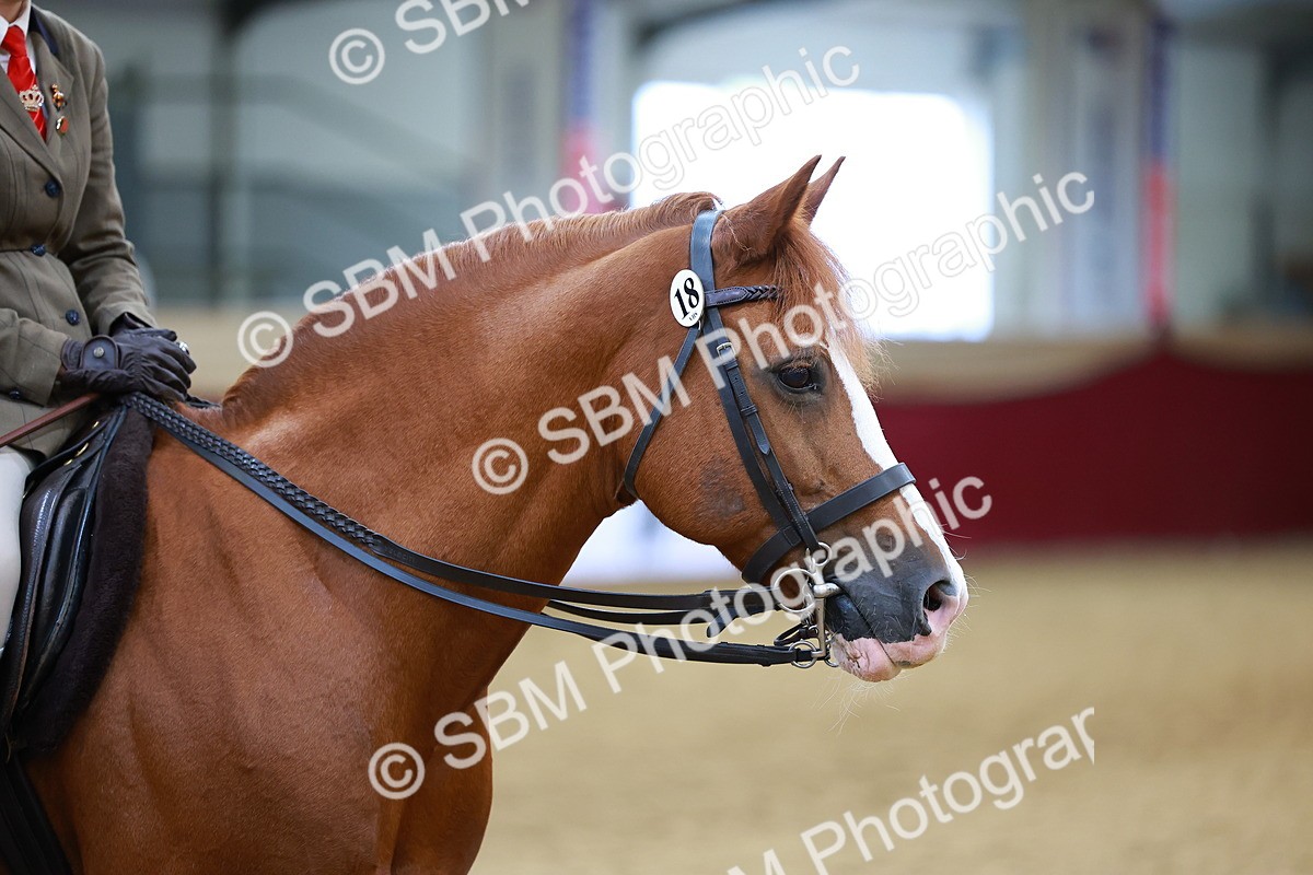SBM_00819 - Class 6A - Ridden Pre-Vet
