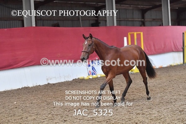JAC_5325 - 7 L'Espirits Little Unicorn