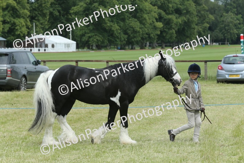 20260614-4253 - Class 18 - Best Junior Handler