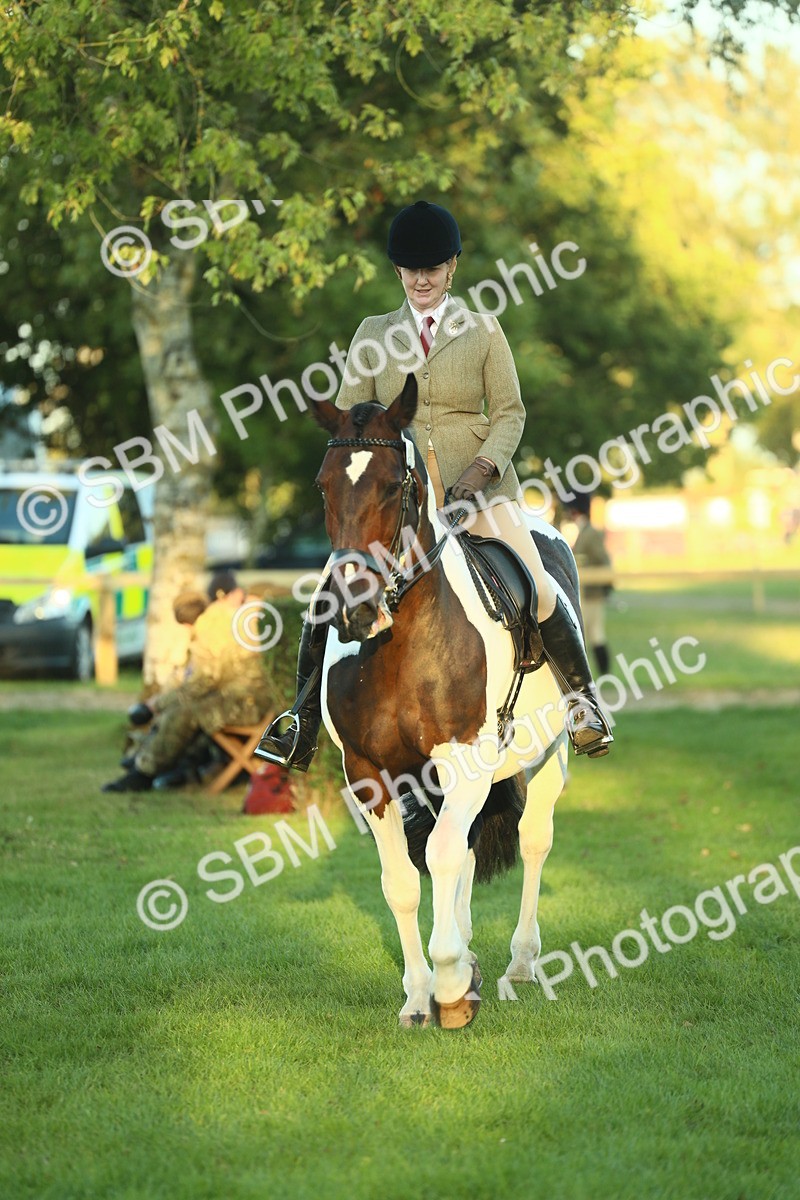 SBM_56505 - S14 - Riding Club Horse