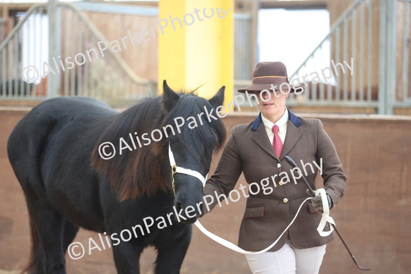 20251109-0850 - Class 25 - Yearling, Colt, Filly or Gelding