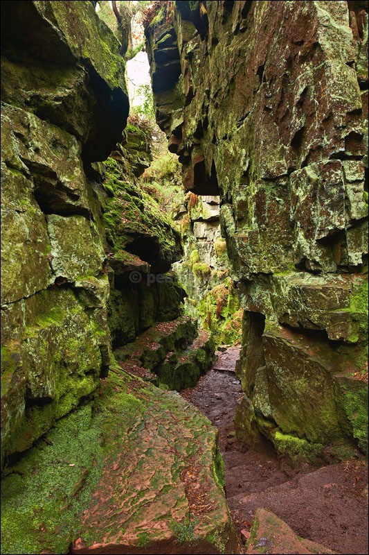 The Green Man Luds Church - Peak District | White Peak