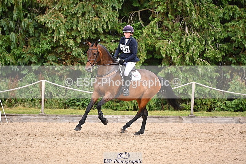 250802A-151427-06217 - E-207-Imogen.Carter-ARDNORE.EPONA