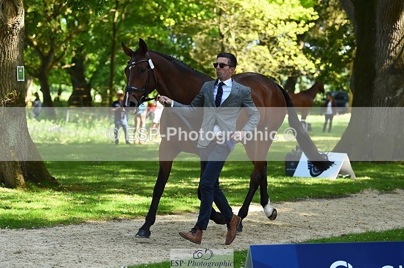 230524-153912-00416 - 371-JERPOINT_ECLIPSE-Max_Gordon-WEDTrotUp+DR