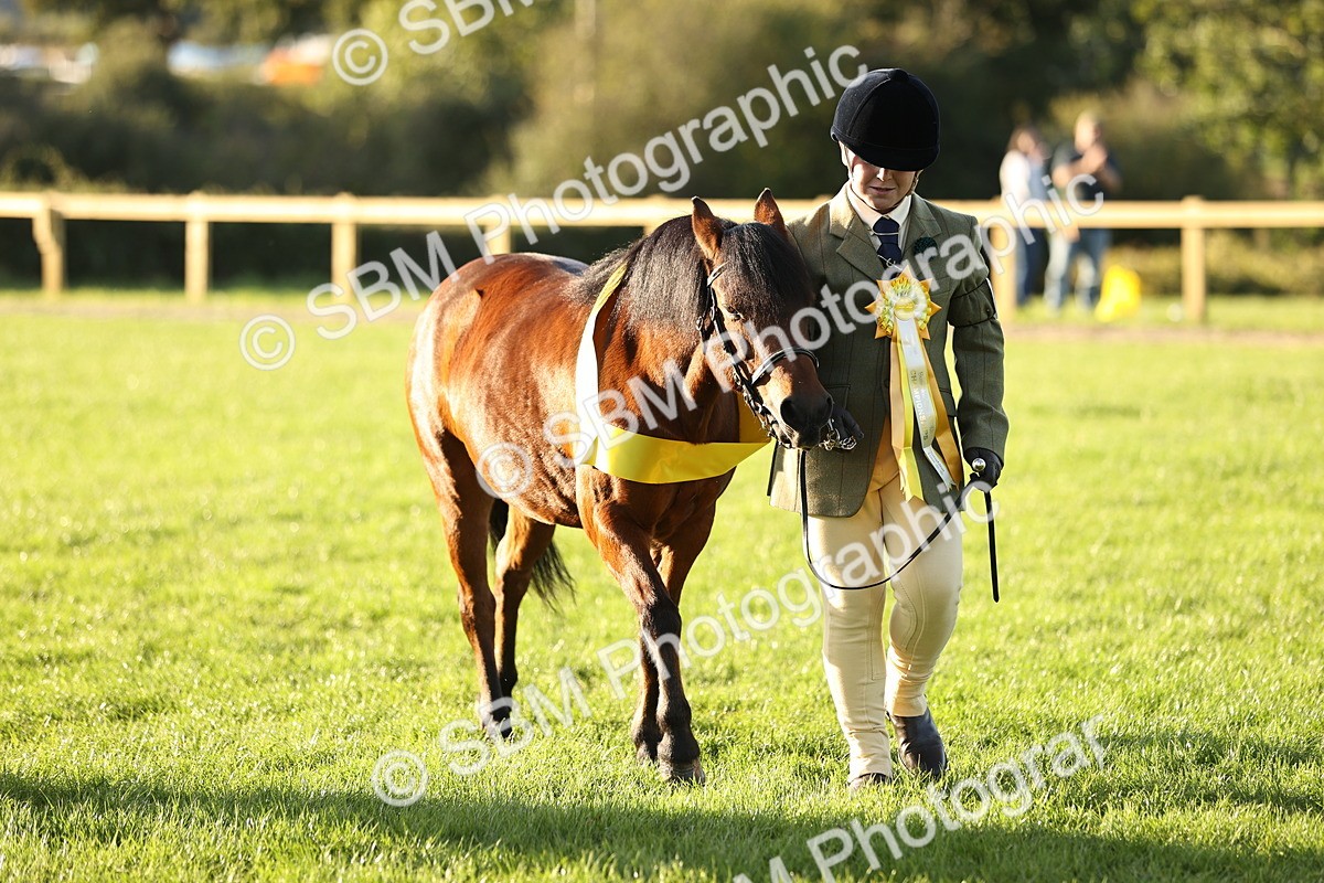SBM_30129 - Novice & Newcomers Supreme Championship