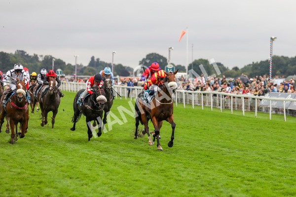 080924-Race 6-Northern Spirit-4560 - Race 6 4.35pm Hanson Springs Handicap