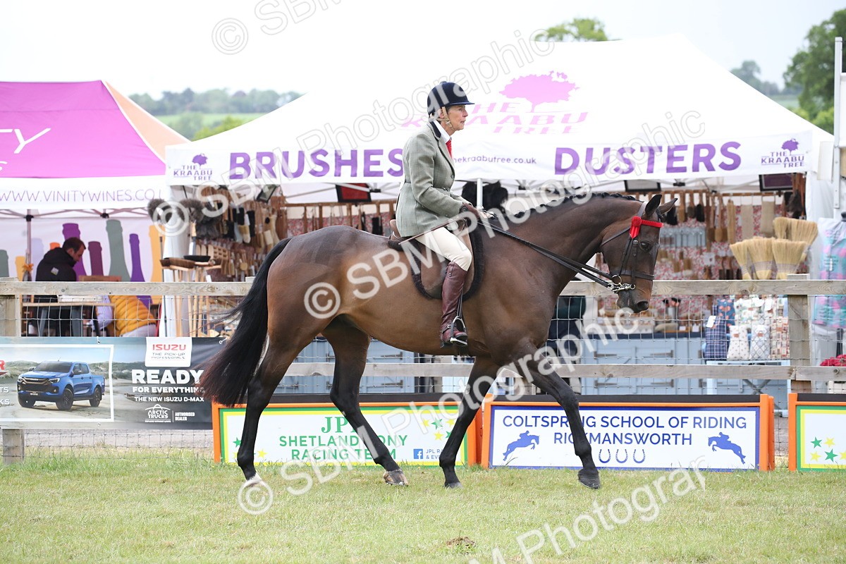 SBM_11401 - Class 94 - LIHS BSHA Racehorse to Showhorse