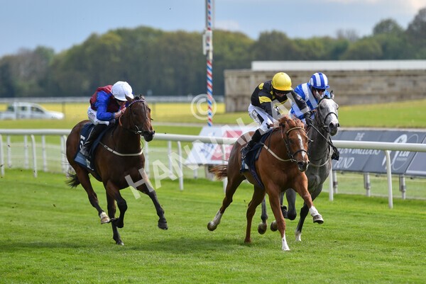 yr12052021r6-16 - Race 6 4.15pm British Stallion Studs EBF Novice Stakes